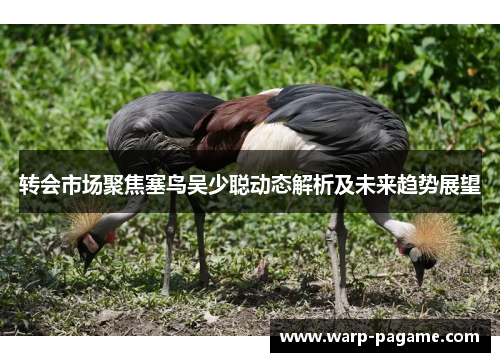 转会市场聚焦塞鸟吴少聪动态解析及未来趋势展望