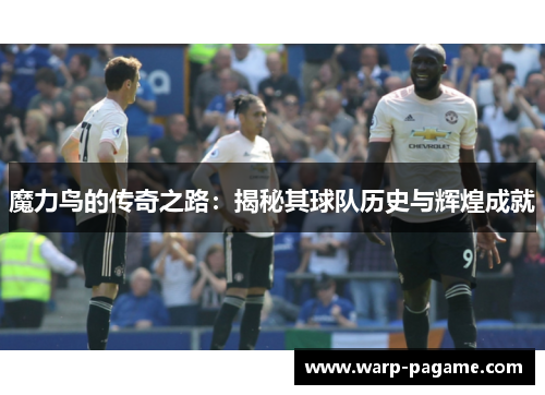 魔力鸟的传奇之路:揭秘其球队历史与辉煌成就 魔力鸟的传奇之路:揭秘其球队历史与辉煌成就